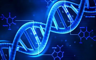 Lei autoriza que exame de DNA seja feito em parentes do suposto pai